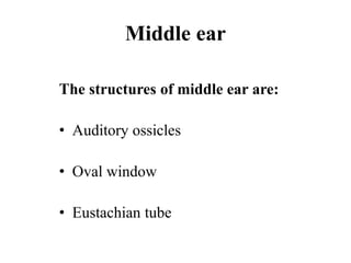 Middle ear
The structures of middle ear are:
• Auditory ossicles
• Oval window
• Eustachian tube
 