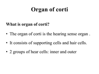 Organ of corti
What is organ of corti?
• The organ of corti is the hearing sense organ .
• It consists of supporting cells and hair cells.
• 2 groups of hear cells: inner and outer
 