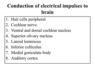 Conduction of electrical impulses to
brain
1. Hair cells peripheral
2. Cochlear nerve
3. Ventral and dorsal cochlear nucleus
4. Superior olivary nucleus
5. Lateral lemniscus
6. Inferior colliculus
7. Medial geniculate body
8. Auditory cortex
 
