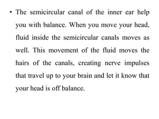• The semicircular canal of the inner ear help
you with balance. When you move your head,
fluid inside the semicircular canals moves as
well. This movement of the fluid moves the
hairs of the canals, creating nerve impulses
that travel up to your brain and let it know that
your head is off balance.
 