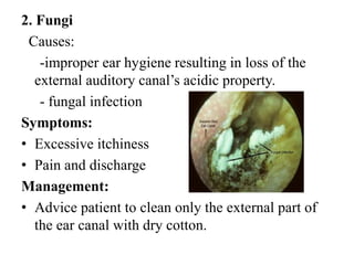 2. Fungi
Causes:
-improper ear hygiene resulting in loss of the
external auditory canal’s acidic property.
- fungal infection
Symptoms:
• Excessive itchiness
• Pain and discharge
Management:
• Advice patient to clean only the external part of
the ear canal with dry cotton.
 