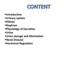 Introduction
Urinary system
Kidney
Nephron
Physiology of Excretion
Urine
Urine storage and Elimination
Renal Disease
Hormonal Regulation
 