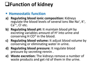 Function of kidney
 Homeostatic function
a) Regulating blood ionic composition: Kidneys
regulate the blood levels of several ions like Na+, K+,
Ca++, Cl- etc.
b) Regulating blood pH: It maintain blood pH by
excreting variables amount of H+ into urine and
conserving H CO3- in the blood.
c) Regulating blood volume: It adjust blood volume by
conserving or eliminating water in urine.
d) Regulating blood pressure: It regulate blood
pressure by secreting rennin .
e) Waste excretion: The kidneys remove a number of
waste products and get rid of them in the urine.
 