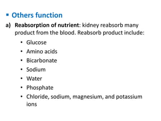  Others function
a) Reabsorption of nutrient: kidney reabsorb many
product from the blood. Reabsorb product include:
• Glucose
• Amino acids
• Bicarbonate
• Sodium
• Water
• Phosphate
• Chloride, sodium, magnesium, and potassium
ions
 