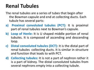 Renal Tubules
The renal tubules are a series of tubes that begin after
the Bowman capsule and end at collecting ducts. Each
tubule has several parts:
a) Proximal convoluted tubules (PCT): It is proximal
part of renal tubules next to Bowman’s capsule.
b) Loop of Henle: It is U shaped middle portion of renal
tubules. It is composed of ascending and descending
loop.
c) Distal convoluted tubules (DCT): It is the distal part of
renal tubules collecting ducts. It is similar in structure
and function that leads to with PCT.
d) Collecting tubules: It is not a part of nephron rather it
is a part of kidney. The distal convoluted tubules from
several nephrons empty into a collecting tubule.
 