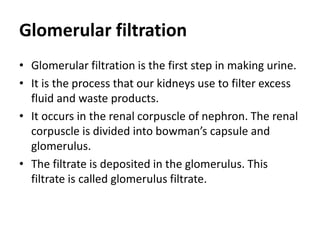 Glomerular filtration
• Glomerular filtration is the first step in making urine.
• It is the process that our kidneys use to filter excess
fluid and waste products.
• It occurs in the renal corpuscle of nephron. The renal
corpuscle is divided into bowman’s capsule and
glomerulus.
• The filtrate is deposited in the glomerulus. This
filtrate is called glomerulus filtrate.
 
