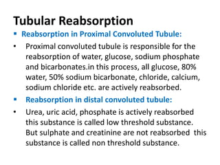 Tubular Reabsorption
 Reabsorption in Proximal Convoluted Tubule:
• Proximal convoluted tubule is responsible for the
reabsorption of water, glucose, sodium phosphate
and bicarbonates.in this process, all glucose, 80%
water, 50% sodium bicarbonate, chloride, calcium,
sodium chloride etc. are actively reabsorbed.
 Reabsorption in distal convoluted tubule:
• Urea, uric acid, phosphate is actively reabsorbed
this substance is called low threshold substance.
But sulphate and creatinine are not reabsorbed this
substance is called non threshold substance.
 