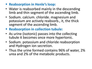  Reabsorption in Henle‘s loop:
• Water is reabsorbed mainly in the descending
limb and thin segment of the ascending limb.
• Sodium. calcium. chloride. magnesium and
potassium are actively reabsorb., it, the thick
segment of the ascending limb.
 Reabsorption in collection tubule:
• As urine (isotonic) passes into the collecting
tubule it becomes once more hypertonic.
• Sodium. potassium and chloride reabsorption
and Hydrogen ion secretion.
• Thus the urine formed contains 96% of water, 2%
urea and 2% of the metabolic products.
 