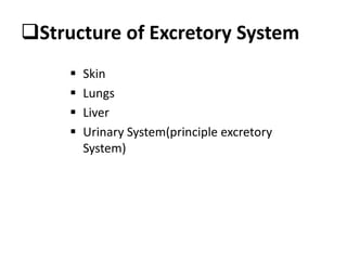 Structure of Excretory System
 Skin
 Lungs
 Liver
 Urinary System(principle excretory
System)
 