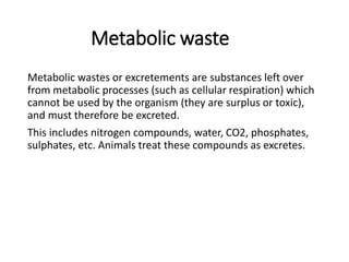 Metabolic waste
Metabolic wastes or excretements are substances left over
from metabolic processes (such as cellular respiration) which
cannot be used by the organism (they are surplus or toxic),
and must therefore be excreted.
This includes nitrogen compounds, water, CO2, phosphates,
sulphates, etc. Animals treat these compounds as excretes.
 