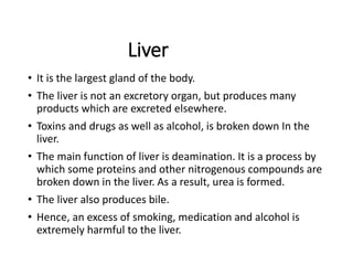 Liver
• It is the largest gland of the body.
• The liver is not an excretory organ, but produces many
products which are excreted elsewhere.
• Toxins and drugs as well as alcohol, is broken down In the
liver.
• The main function of liver is deamination. It is a process by
which some proteins and other nitrogenous compounds are
broken down in the liver. As a result, urea is formed.
• The liver also produces bile.
• Hence, an excess of smoking, medication and alcohol is
extremely harmful to the liver.
 