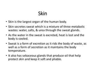 Skin
• Skin is the largest organ of the human body.
• Skin secretes sweat which is a mixture of three metabolic
wastes: water, salts, & urea through the sweat glands.
• As the water in the sweat is excreted, heat is lost and the
body is cooled.
• Sweat is a form of excretion as it rids the body of waste, as
well as a form of secretion as it maintains the body
temperature.
• It also has sebaceous glands that produce oil that help
protect skin and keep it soft and pliable.
 
