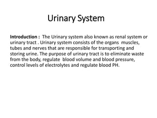 Urinary System
Introduction : The Urinary system also known as renal system or
urinary tract . Urinary system consists of the organs muscles,
tubes and nerves that are responsible for transporting and
storing urine. The purpose of urinary tract is to eliminate waste
from the body, regulate blood volume and blood pressure,
control levels of electrolytes and regulate blood PH.
 