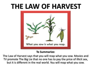 THE LAW OF HARVEST
To Summarize:
The Law of Harvest says that you will reap what you sow. Movies and
TV promote The Big Lie that no one has to pay the price of illicit sex,
but it is different in the real world. You will reap what you sow.
 
