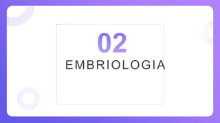 EMBRIOLOGIA
 