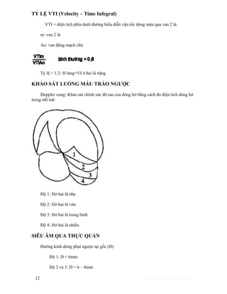 TỶ LỆ VTI (Velocity – Time Infegral) 
VTI = diện tích phía dưới đường biểu diễn vận tốc dòng máu qua van 2 lá. 
m: van 2 lá 
Ao: van động mạch chủ 
Tỷ lệ > 1,3: H lang=VI ở hai lá nặng 
KHẢO SÁT LUỒNG MÁU TRÀO NGƯỢC 
Doppler xung: Khảo sát chính xác độ tan của dòng hở bằng cách đo điện tích dòng hở 
trong nhĩ trái 
Độ 1: Hở hai lá nhẹ 
Độ 2: Hở hai lá vừa 
Độ 3: Hở hai lá trung bình 
Độ 4: Hở hai lá nhiều 
SIÊU ÂM QUA THỰC QUẢN 
Đường kính dòng phụt ngược tại gốc (D) 
Độ 1: D < 6mm 
Độ 2 và 3: D = 6 – 8mm 
12 http://www.ebook.edu.vn 
 