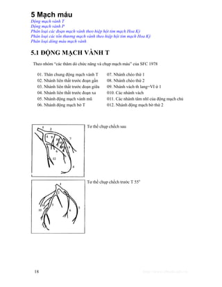 5 Mạch máu 
Động mạch vành T 
Động mạch vành P 
Phân loại các đoạn mạch vành theo hiệp hội tim mạch Hoa Kỳ 
Phân loại các tổn thương mạch vành theo hiệp hội tim mạch Hoa Kỳ 
Phân loại dòng máu mạch vành 
5.1 ĐỘNG MẠCH VÀNH T 
Theo nhóm “các thăm dò chức năng và chụp mạch máu” của SFC 1978 
01. Thân chung động mạch vành T 07. Nhánh chéo thứ 1 
02. Nhánh liên thất trước đoạn gần 08. Nhánh chéo thứ 2 
03. Nhánh liên thất trước đoạn giữa 09. Nhánh vách th lang=VI ứ 1 
04. Nhánh liên thất trước đoạn xa 010. Các nhánh vách 
05. Nhánh động mạch vành mũ 011. Các nhánh tâm nhĩ của động mạch chủ 
06. Nhánh động mạch bờ T 012. Nhánh động mạch bờ thứ 2 
Tư thế chụp chếch sau 
Tư thế chụp chếch trước T 55o 
18 http://www.ebook.edu.vn 
 