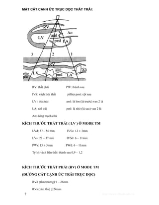 MẶT CẮT CẠNH ỨC TRỤC DỌC THẤT TRÁI: 
RV: thất phải PW: thành sau 
IVS: vách liên thất pillier post: cột sau 
LV : thất trái aml: lá lơn (lá trước) van 2 lá 
LA: nhĩ trái pml: lá nhỏ (lá sau) van 2 lá 
Ao: động mạch chủ 
KÍCH THƯỚC THẤT TRÁI ( LV ) Ở MODE TM 
LVd: 37 – 56 mm IVSs: 12 ± 3mm 
LVs: 27 – 37 mm IVSd: 6 – 11mm 
PWs: 15 ± 3mm PWd: 6 – 11mm 
Tỷ lệ: vách liên thất/ thành sau 0,9 – 1,2 
KÍCH THƯỚC THẤT PHẢI (RV) Ở MODE TM 
(ĐƯỜNG CẮT CẠNH ỨC TRÁI TRỤC DỌC) 
RVd (tâm trương) 9 – 26mm 
RVs (tâm thu) ≤ 24mm 
7 http://www.ebook.edu.vn 
 