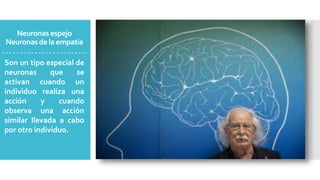 Neuronas espejo
Neuronas de la empatía
Son un tipo especial de
neuronas que se
activan cuando un
individuo realiza una
acción y cuando
observa una acción
similar llevada a cabo
por otro individuo.
 