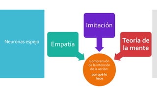 Neuronas espejo
Comprensión
de la intención
de la acción:
por qué lo
hace
Empatía
Imitación
Teoría de
la mente
 