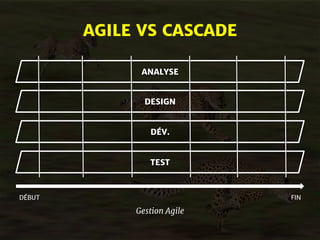 AGILE VS CASCADE 
ANALYSE 
DESIGN 
DÉV. 
TEST 
DÉBUT FIN 
Gestion Agile 
 