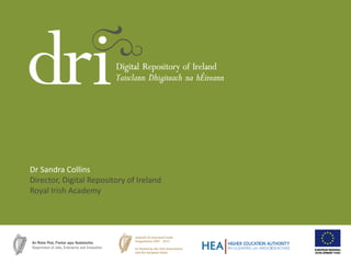 Dr Sandra Collins 
Director, Digital Repository of Ireland 
Royal Irish Academy  