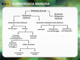 SUMBERDAYA MANUSIA  