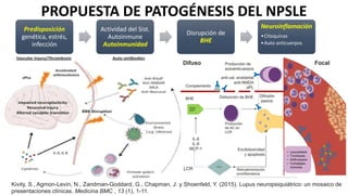 PROPUESTA DE PATOGÉNESIS DEL NPSLE
Kivity, S., Agmon-Levin, N., Zandman-Goddard, G., Chapman, J. y Shoenfeld, Y. (2015). Lupus neuropsiquiátrico: un mosaico de
presentaciones clínicas. Medicina BMC , 13 (1), 1-11.
Predisposición
genética, estrés,
infección
Actividad del Sist.
Autoinmune
Autoinmunidad
Disrupción de
BHE
Neuroinflamación
•Citoquinas
•Auto anticuerpos
 