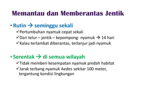 Memantau dan Memberantas Jentik
•Rutin  seminggu sekali
Pertumbuhan nyamuk cepat sekali
Dari telur – jentik – kepompong- nyamuk  14 hari
Kalau terlambat diberantas, terlanjur jadi nyamuk
•Serentak  di semua wilayah
Tidak memberi kesempatan nyamuk pindah habitat
Jarak terbang nyamuk Aedes sekitar 100 meter,
tergantung kondisi lingkungan
 