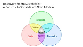 Desenvolvimento Sustentável:
A Construção Social de um Novo Modelo
18
 