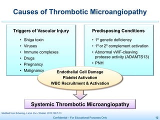 Confidential – For Educational Purposes Only 12
Systemic Thrombotic Microangiopathy
Predisposing Conditions
• 10 genetic deficiency
• 10 or 20 complement activation
• Abnormal vWF-cleaving
protease activity (ADAMTS13)
• PNH
Triggers of Vascular Injury
• Shiga toxin
• Viruses
• Immune complexes
• Drugs
• Pregnancy
• Malignancy
Causes of Thrombotic Microangiopathy
Modified from Scheiring J, et al. Eur J Pediatr. 2010;169:7-13
Endothelial Cell Damage
Platelet Activation
WBC Recruitment & Activation
 