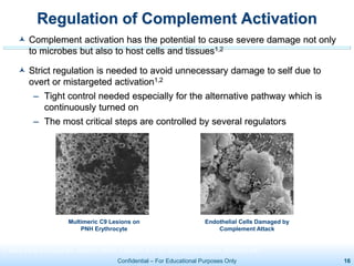 Confidential – For Educational Purposes Only 16
Regulation of Complement Activation
 Complement activation has the potential to cause severe damage not only
to microbes but also to host cells and tissues1,2
 Strict regulation is needed to avoid unnecessary damage to self due to
overt or mistargeted activation1,2
– Tight control needed especially for the alternative pathway which is
continuously turned on
– The most critical steps are controlled by several regulators
Endothelial Cells Damaged by
Complement Attack
Photo: S. Meri, Univ. of Helsinki
Multimeric C9 Lesions on
PNH Erythrocyte
Photo: W Rosse
1. Holers VM et al. Immunol Rev. 2008;223:300-316. 2. Zipfel PF et al. Curr Opin Nephrol Hypertens. 2010;4:372-378.
 