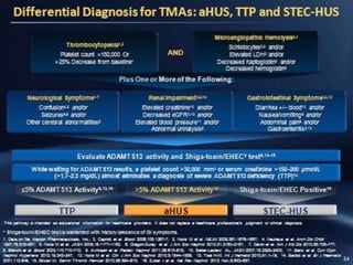 Confidential – For Educational Purposes Only 2
 
