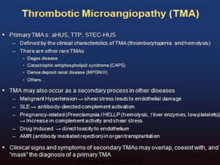 Confidential – For Educational Purposes Only 3
 