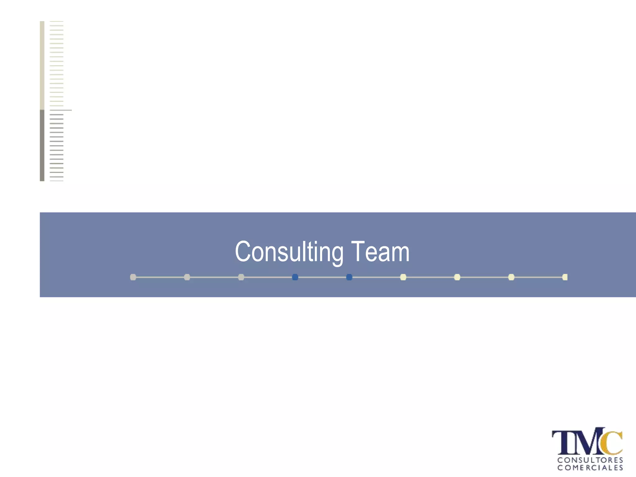 Consulting Team
 