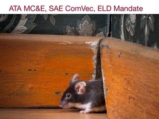 ATA MC&E, SAE ComVec, ELD Mandate
 