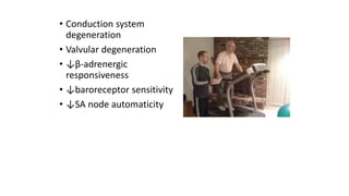 • Conduction system
degeneration
• Valvular degeneration
• ↓β-adrenergic
responsiveness
• ↓baroreceptor sensitivity
• ↓SA node automaticity
 