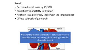 Renal
• Decreased renal mass by 25-30%
• Renal fibrosis and fatty infiltration
• Nephron loss, preferably those with the longest loops
• Diffuse sclerosis of glomeruli
•Risk for hypotension-related pre-renal kidney injury
•Possible alteration in drug pharmacology-need for
dose adjustment
 
