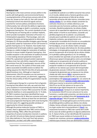 INTRODUCTION
Hearing loss is the most common sensory deficit in the
world, with both genetic and environmental factors
causing dysfunction of the primary sensory cells of the
inner ear, known as hair cells (1). Hair cells convert
mechanical stimuli into electrical signals and are
essential for normal auditory and balance functions.
Unfortunately, hair cells lack the ability to regenerate;
thus, hair cell damage or death is cumulative, causing
progressive hearing loss. The current standards of care
for hearing loss are hearing aids or cochlear implants,
which provide incomplete restoration of function in a
limited patient population. Pharmacologic, stem cell,
and gene therapies are being explored as alternative
therapies (1). Of these possible strategies, gene therapy
may be best suited for restoration of hair cell function in
genetic hearing loss (1–4). However, few studies have
provided proof-of-principle evidence supporting gene
therapy as a viable strategy for restoration of auditory
function in mouse models of genetic hearing loss. One
notable exception is the restoration of auditory function
in mice lacking vesicular glutamate transporter 3
(VGLUT3), a glutamate transport protein expressed in
auditory inner hair cells (IHCs), required for synaptic
transmission from IHC to postsynaptic neurons of the
8th cranial nerve (5). The authors of that study used
adeno-associated viral (AAV) vectors to deliver the
coding sequence for VGLUT3 into IHCs of early postnatal
Vglut3 knockout mice. Although an important
advancement, VGLUT3 mutations are not common in
humans and, when present, are dominant, suggesting
that the clinical utility of VGLUT3 augmentation may be
limited.
To explore gene therapy for a common form of genetic
hearing loss that affects hair cells, we used mice that
carry mutations in transmembrane channel–like gene 1
(Tmc1). Mutations in human TMC1 account for 4 to 8%
of genetic deafness in some populations (6, 7). To date,
40 TMC1 mutations have been identified that cause
deafness in humans (8, 9). Most are recessive and cause
prelingual deafness, whereas at least five are dominant
and cause progressive hearing loss with onset during the
mid-teen years (7), suggesting possible windows of
opportunity for clinical intervention.
Although the precise molecular function of TMC1 is
unclear, there is agreement that TMC1 and its closely
related ortholog, TMC2, affect the permeation
properties of sensory transduction channels in auditory
hair cells (10–12) and are likely channel components
(11). Mice deficient in Tmc1 and Tmc2 lack sensory
transduction, are deaf, and suffer severe balance
INTRODUCCIÓN
La pérdida de audición es el déficit sensorial más común
en el mundo, debido tanto a factores genéticos como
ambientales que provocan el fallo de las células
sensoriales primarias del oído interno, conocidas como
células ciliadas (1). Las células ciliadas convierten los
estímulos mecánicos en señales eléctricas y son
esenciales para las funciones auditivas y de equilibrio
normales. Desafortunadamente, las células ciliadas
carecen de la capacidad de regenerarse; por lo tanto, su
daño celular o muerte es acumulativo, causando una
pérdida progresiva de la audición. Los protocolos
actuales para la pérdida de audición son los audífonos o
implantes cocleares, que proporcionan una
recuperación incompleta de la función en una población
limitada de pacientes. Se están explorando terapias
farmacológicas, el uso de células madre y terapias
génicas como terapias alternativas (1). De estas posibles
estrategias, la terapia génica puede ser la más adecuada
para la recuperación de la función de las células ciliadas
en la pérdida auditiva genética (1-4). Sin embargo,
pocos estudios han aportado una prueba preliminar de
eficacia que apoye la terapia génica como una estrategia
viable para la recuperación de la función auditiva en
modelos de ratón con pérdida de audición genética. Una
excepción notable es la recuperación de la función
auditiva en los ratones que carecen del transportador
de glutamato vesicular 3 (VGLUT3), una proteína de
transporte de glutamato que se expresa en las células
ciliadas del oído interno (IHCs), necesarias para la
transmisión sináptica desde las IHC a las neuronas
postsinápticas del octavo par craneal (5). Los autores de
ese estudio utilizaron vectores virales adenoasociados
(AAV) para insertar la secuencia codificante para
VGLUT3 en las IHC de ratones en los que se ha
silenciado el gen Vglut3 después de su nacimiento
(ratones knockout). Aunque es un avance importante,
las mutaciones VGLUT3 no son comunes en los seres
humanos y, cuando están presentes, son dominantes, lo
que sugiere que la utilidad clínica del incremento de la
expresión del gen1
VGLUT3 puede ser limitada.
Para explorar una terapia génica para una forma común
de pérdida genética auditiva que afecta a las células
ciliadas, hemos utilizado ratones que portan mutaciones
en el gen coclear de la transmembrana 1 (Tmc1). Las
mutaciones humanas en TMC1 dan cuenta del 4 al 8%
de los casos de sordera genética en algunas poblaciones
(6, 7). Hasta la fecha, se han identificado 40 mutaciones
en TMC1 que causan sordera en humanos (8, 9). La
mayoría son recesivas y provocan sordera prelocutiva,
mientras que al menos cinco son dominantes y causan
1
Augmentation = incremento de la expresión.
 