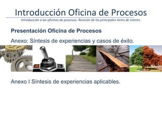 Introducción Oficina de Procesos
    Introducción a las oficinas de procesos. Revisión de los principales ítems de interés.


Presentación Oficina de Procesos
Anexo: Síntesis de experiencias y casos de éxito.




Anexo I Síntesis de experiencias aplicables.
 