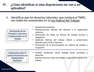 TMEC Capítulo Laboral - IMMEX