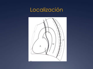 Localización