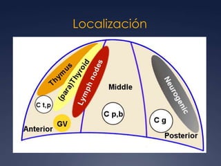 Localización