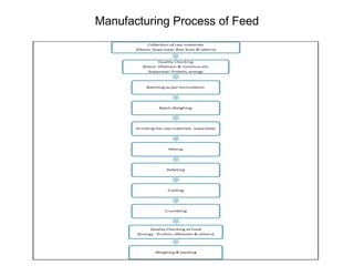 Manufacturing Process of Feed
 