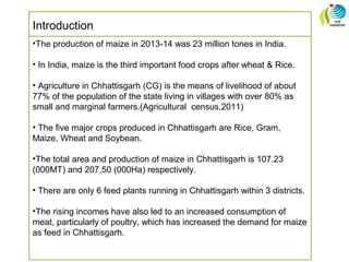 Introduction
•The production of maize in 2013-14 was 23 million tones in India.
• In India, maize is the third important food crops after wheat & Rice.
• Agriculture in Chhattisgarh (CG) is the means of livelihood of about
77% of the population of the state living in villages with over 80% as
small and marginal farmers.(Agricultural census,2011)
• The five major crops produced in Chhattisgarh are Rice, Gram,
Maize, Wheat and Soybean.
•The total area and production of maize in Chhattisgarh is 107.23
(000MT) and 207.50 (000Ha) respectively.
• There are only 6 feed plants running in Chhattisgarh within 3 districts.
•The rising incomes have also led to an increased consumption of
meat, particularly of poultry, which has increased the demand for maize
as feed in Chhattisgarh.
 