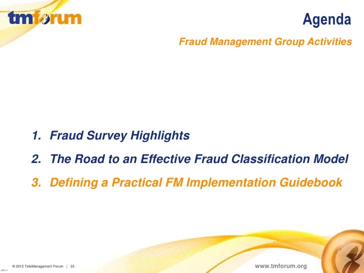 Vision System Group Fraud 13