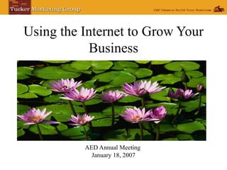 Using the Internet to Grow Your Business AED Annual Meeting  January 18, 2007 