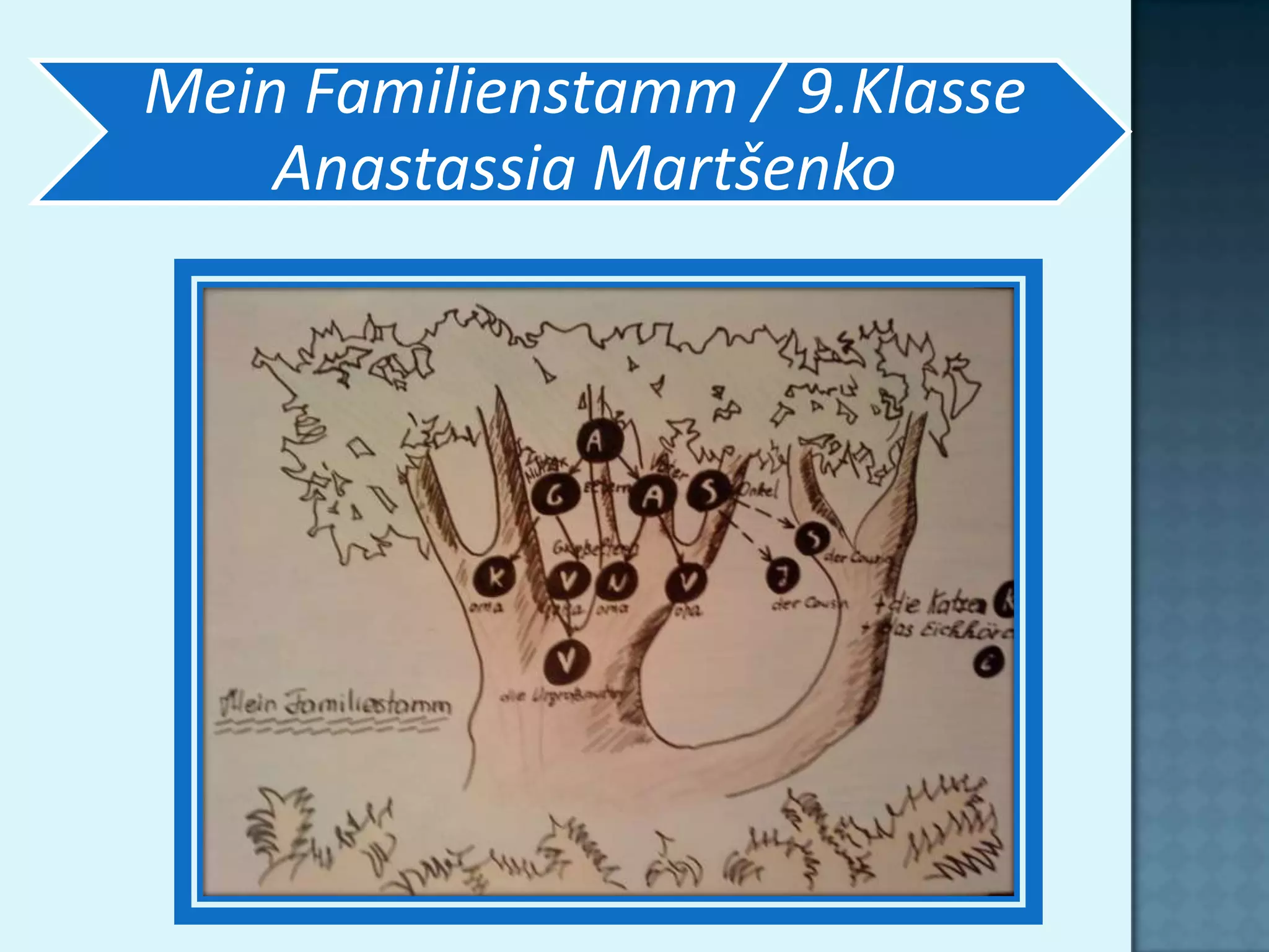 Mein Familienstamm / 9.Klasse
    Anastassia Martšenko
 