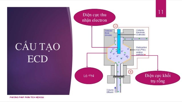 electron capture detector electron capture detector