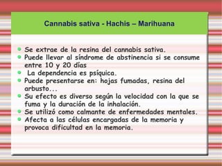 Cannabis sativa - Hachis – Marihuana


Se extrae de la resina del cannabis sativa.
Puede llevar al síndrome de abstinencia si se consume
entre 10 y 20 días
 La dependencia es psíquica.
Puede presentarse en: hojas fumadas, resina del
arbusto...
Su efecto es diverso según la velocidad con la que se
fuma y la duración de la inhalación.
Se utilizó como calmante de enfermedades mentales.
Afecta a las células encargadas de la memoria y
provoca dificultad en la memoria.
 